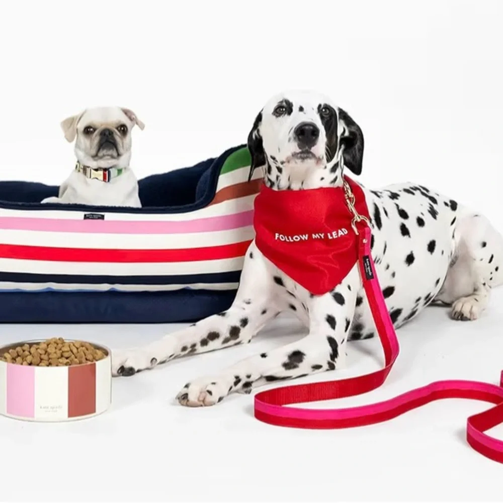 NEW kate spade multi-colored Striped Dog Bowl. pink/red/blue/green adorable!